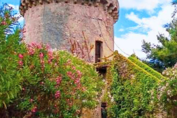 Albidona